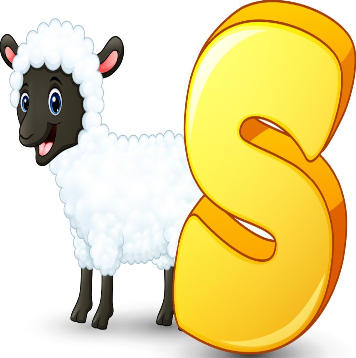 Letter s is for sheep cartoon alphabet Royalty Free Vector